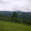 , Maxiu