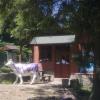 , Maxiu