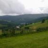 , Maxiu
