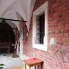 Collegium Maius, mokunka