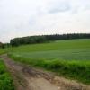 widok na Pomnik Przyrody