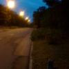 , marian
