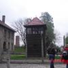 , marian