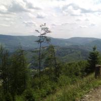 , Maxiu