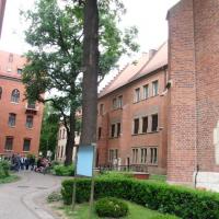 Collegium Maius, mokunka