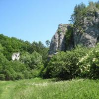 Jura : Zabierzów-Bolechowice-Karniowice-Kobylany-Będkowice-Jerzmanowice, Roman Świątkowski