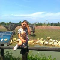 , marian