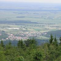 , marian