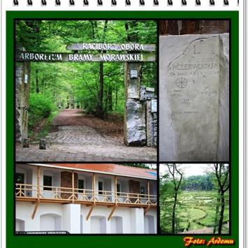 Racibórz: Arboretum i Zamek Pistowski - zdjęcie