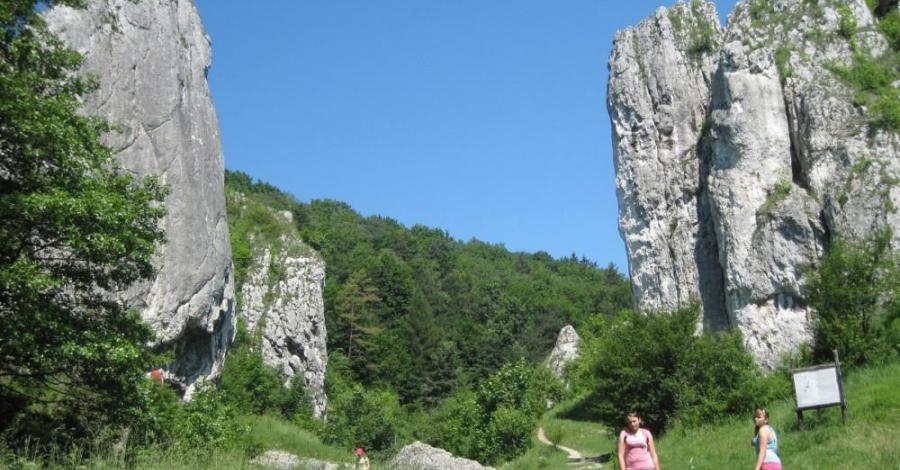Jura : Zabierzów-Bolechowice-Karniowice-Kobylany-Będkowice-Jerzmanowice - zdjęcie
