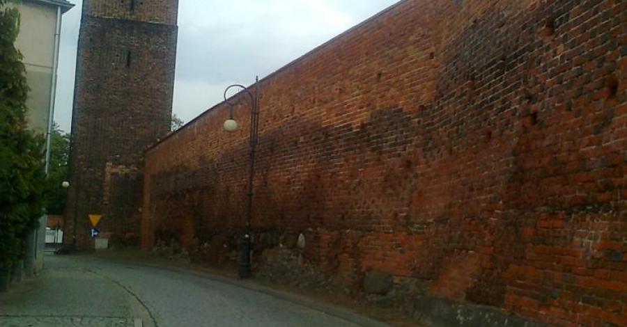 BYCZYNA - zdjęcie