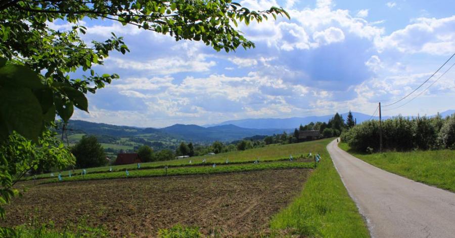 Gmina Ślemień - Boże Ciało i nie tylko - zdjęcie