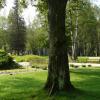 , Lidka Kwiatkowska