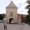 , Magda