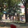Rynek w Janowie, Tadeusz Walkowicz