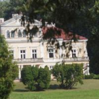 Pałac Raczyńskich, Tadeusz Walkowicz