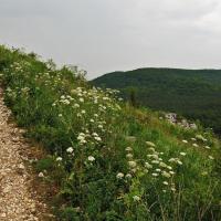 , Magdalena