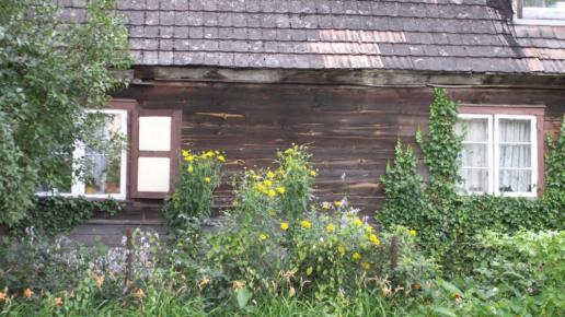 Wiślina, Magda