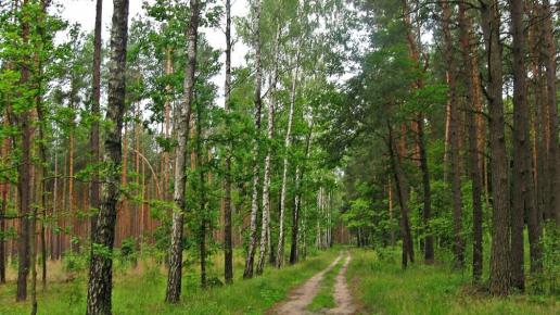 Sokole Góry, Magdalena