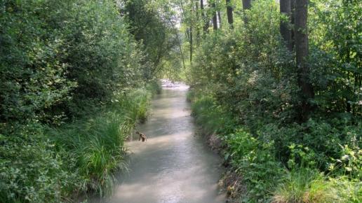 rz. Sztoła, Roman Świątkowski