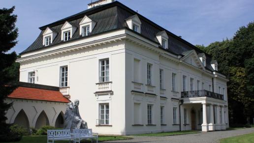 Pałac w Radziejowicach