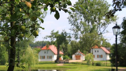 Radziejowice