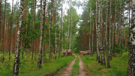 Sokole Góry, Magdalena