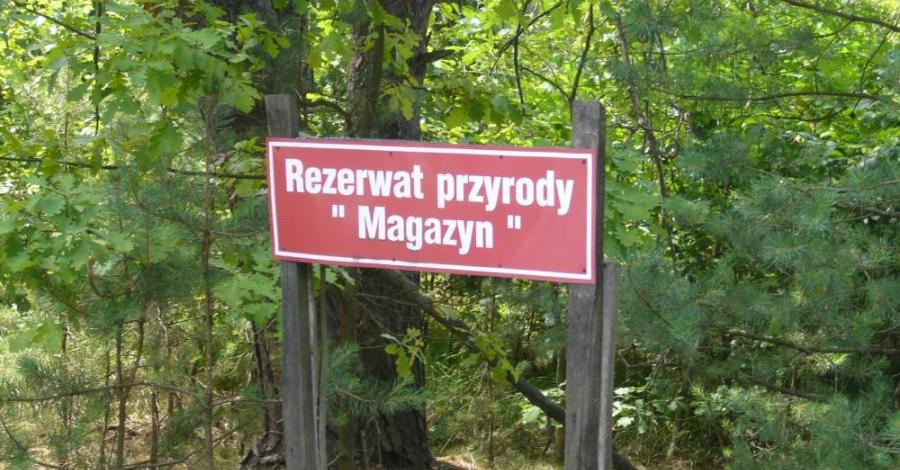 Rezerwat "Magazyn" - zdjęcie