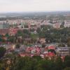 Widok w wieży - Rynek Wieluński, Tadeusz Walkowicz