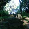 , mokunka