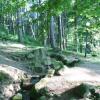 , mokunka