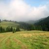 polana w drodze na Wysoką, Roman Świątkowski