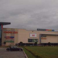 Galeria Jurajska, Tadeusz Walkowicz