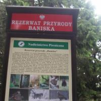 , Paweł Gąsiorek