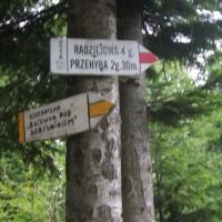 , Paweł Gąsiorek