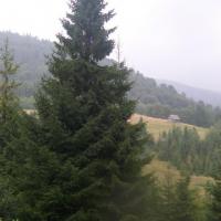 , Paweł Gąsiorek