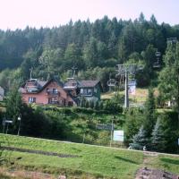 kolejka na Palenice, Roman Świątkowski