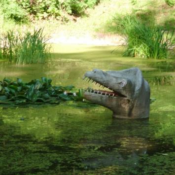wodny dino, mokunka