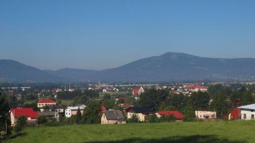 Łodygowice, Tadeusz Walkowicz