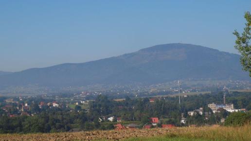 Łodygowice, Tadeusz Walkowicz