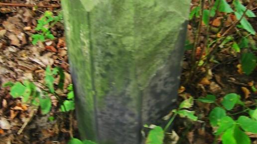 , Magdalena