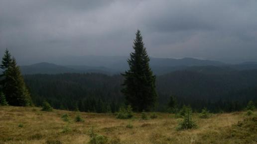 , Paweł Gąsiorek