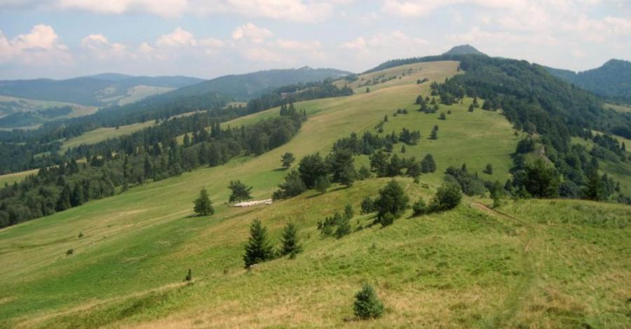 Małe Pieniny : Wysoka, Durbaszka, Szafranówka - zdjęcie