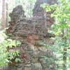 , mokunka