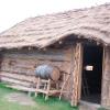 , mokunka