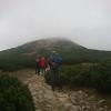 , Paweł Gąsiorek