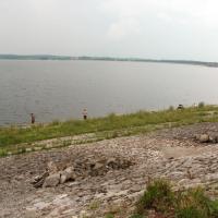 , mokunka