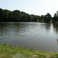 , mokunka