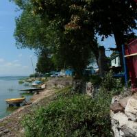 , mokunka