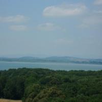 , mokunka
